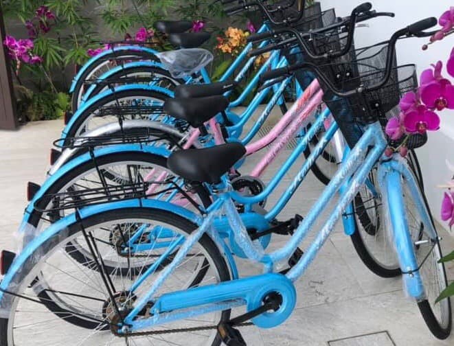 免費淑女腳踏車