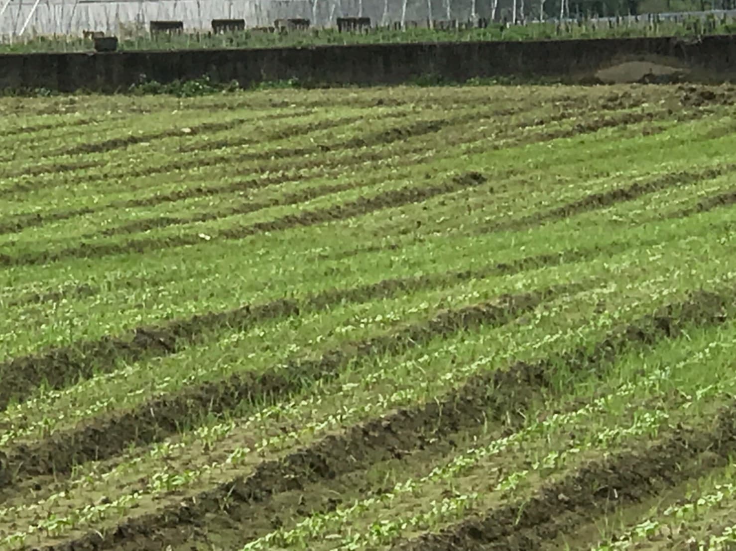 美濃田中央旅宿景色
