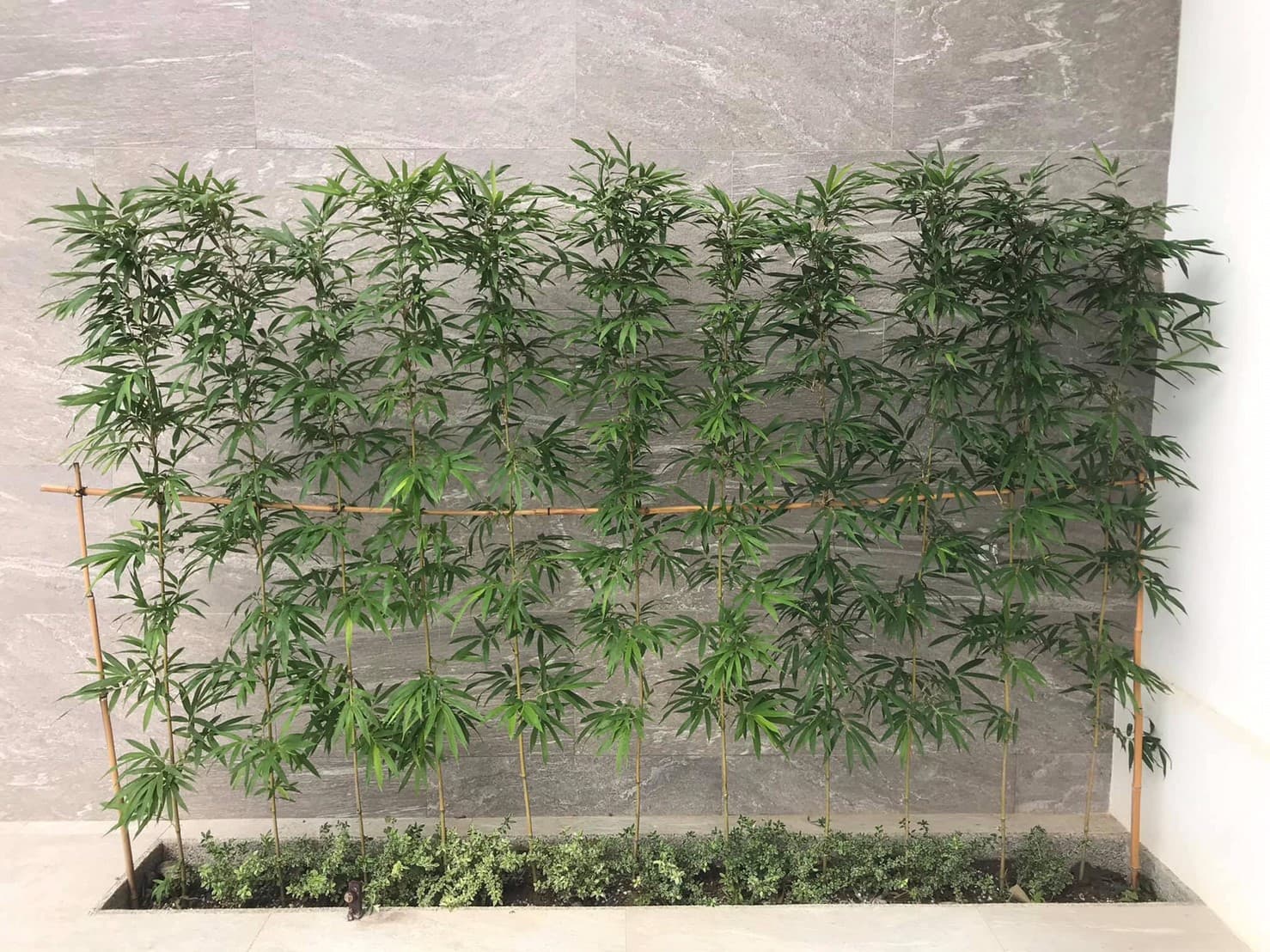 美濃田中央旅宿景色