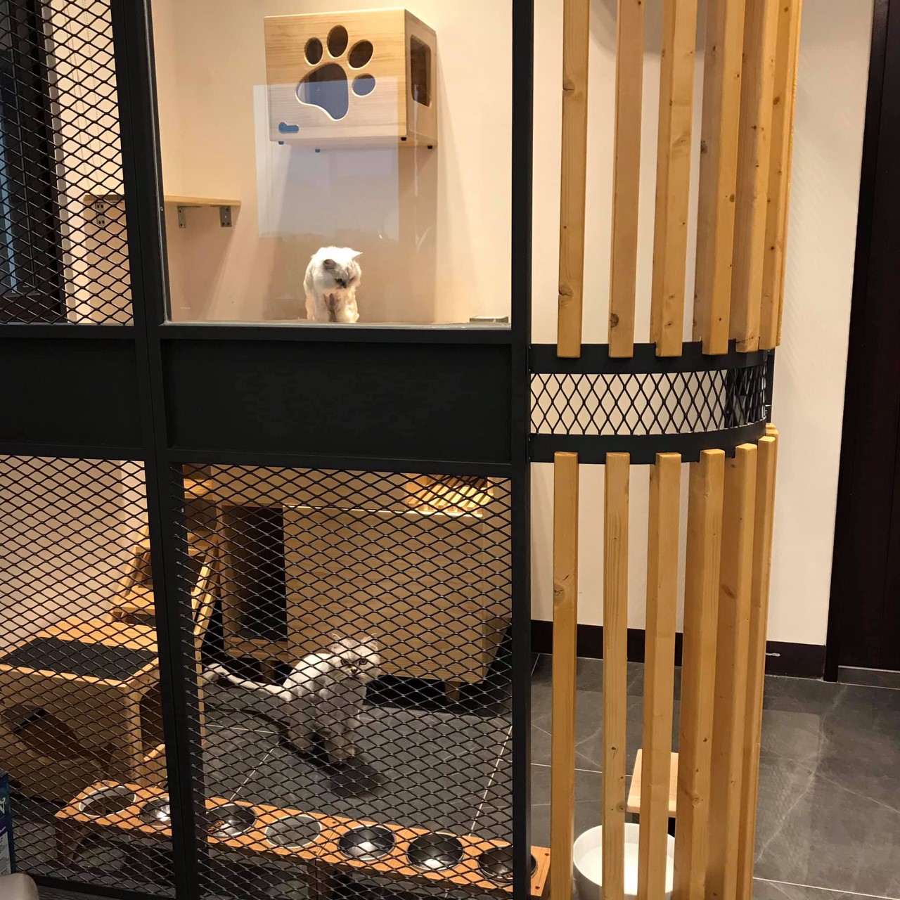 貓屋友善設計